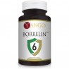 Borrelin 6™