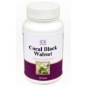 Coral Black Walnut Leaves